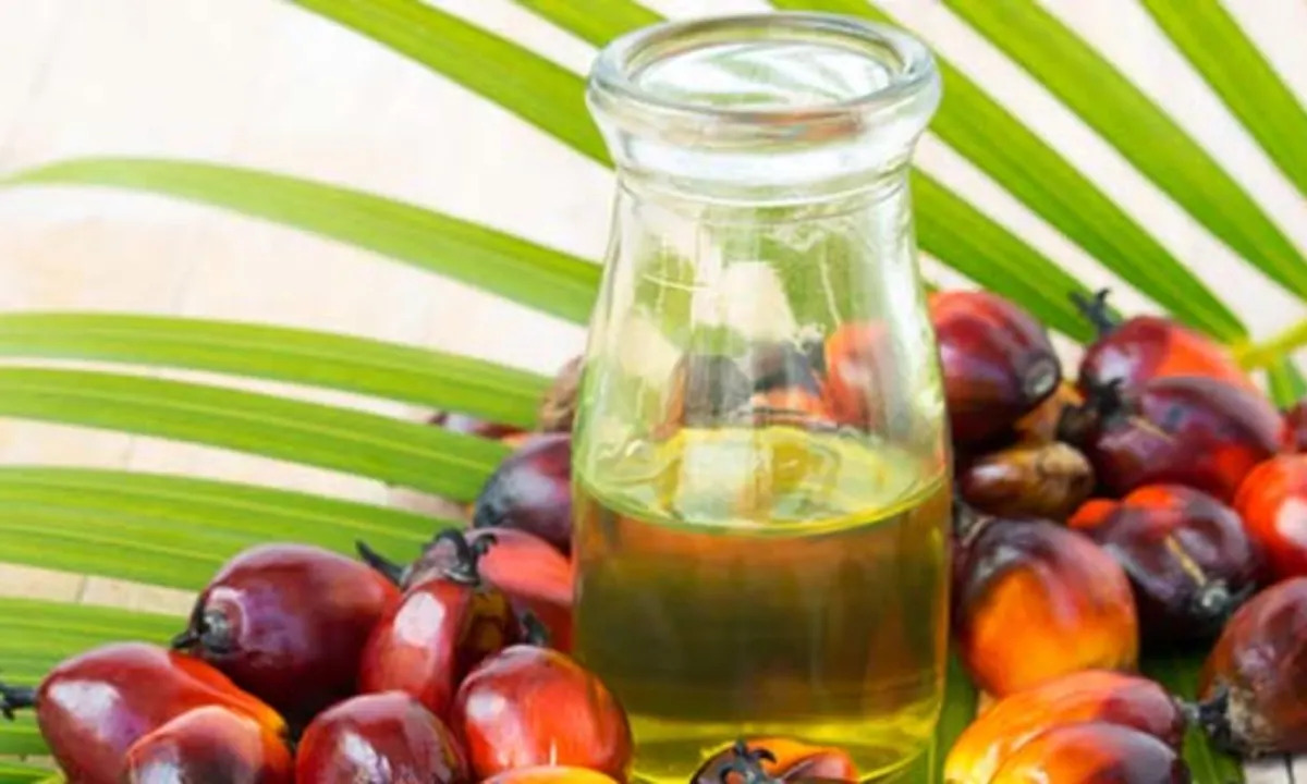 10 Palm Oil Free Skin Care Products that Will Keep You Glowing
